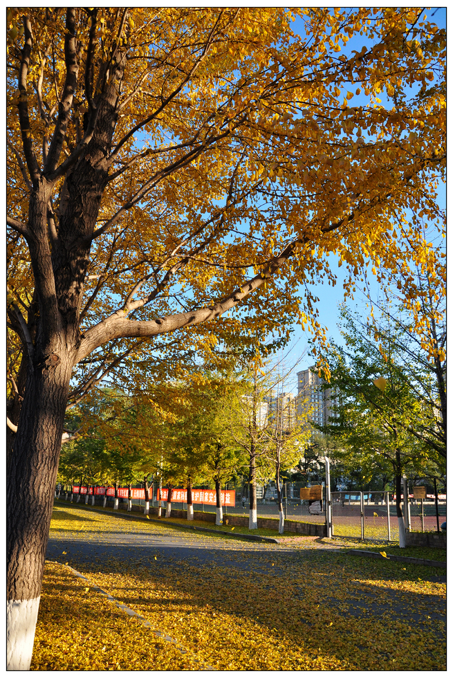 辽宁大学