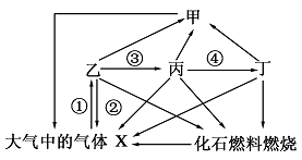 碳循环过程