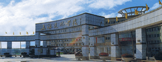 上海建桥学院富二代,上海建桥学院,上海建桥学院食堂_大山谷图库